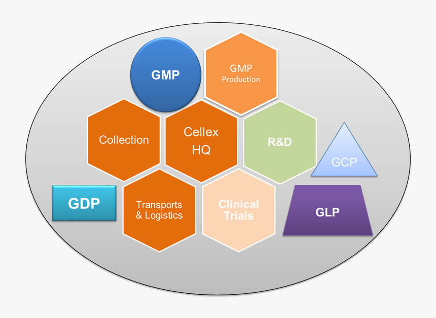 Information Technology, HD Png Download