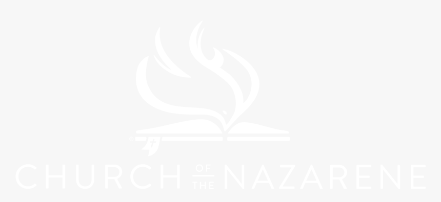 Johns Hopkins White Logo, HD Png Download