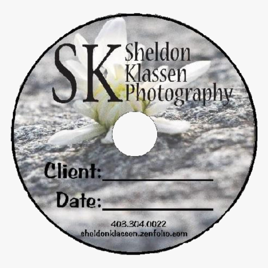 Blank Dvd, HD Png Download