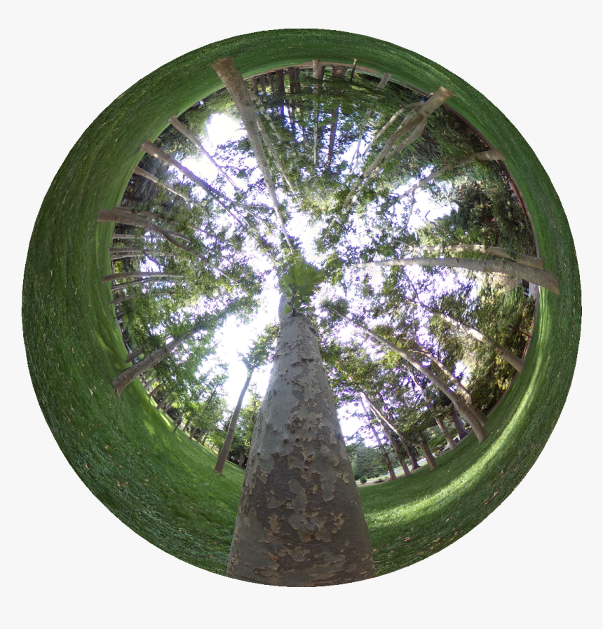 Circle, HD Png Download