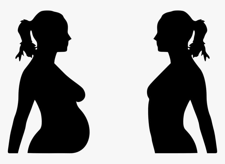 Pregnant And Non Pregnant, HD Png Download