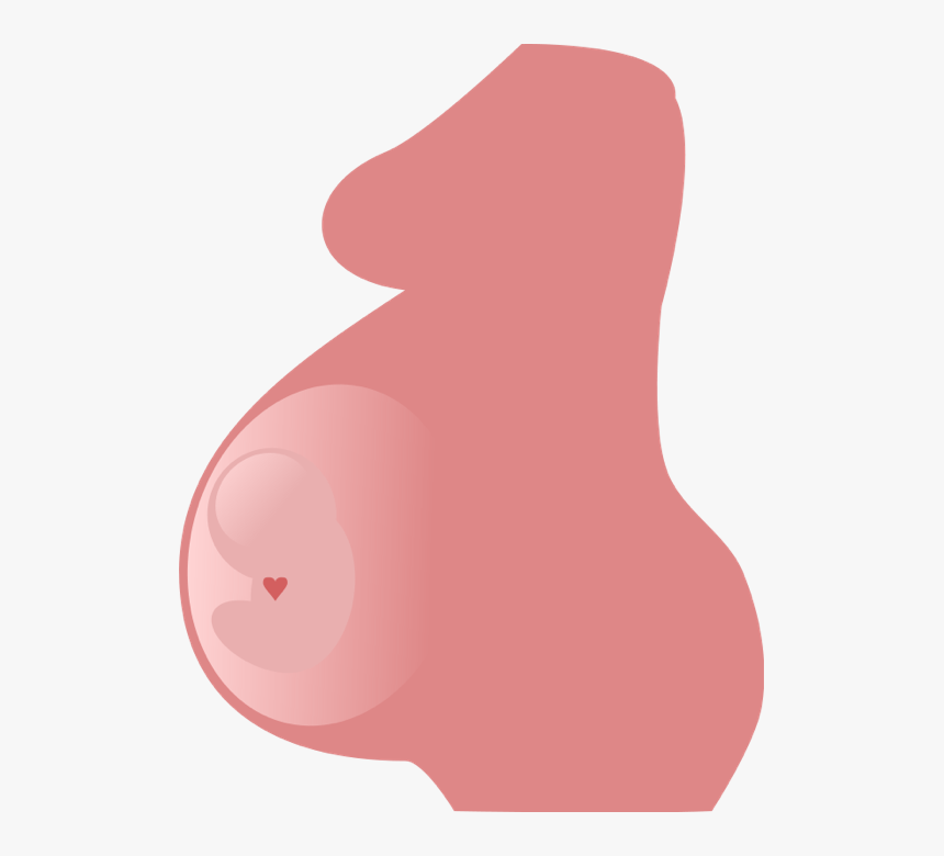 Pregnancy Transparent Background - Side View Of A Pregnant Woman, HD Png Download