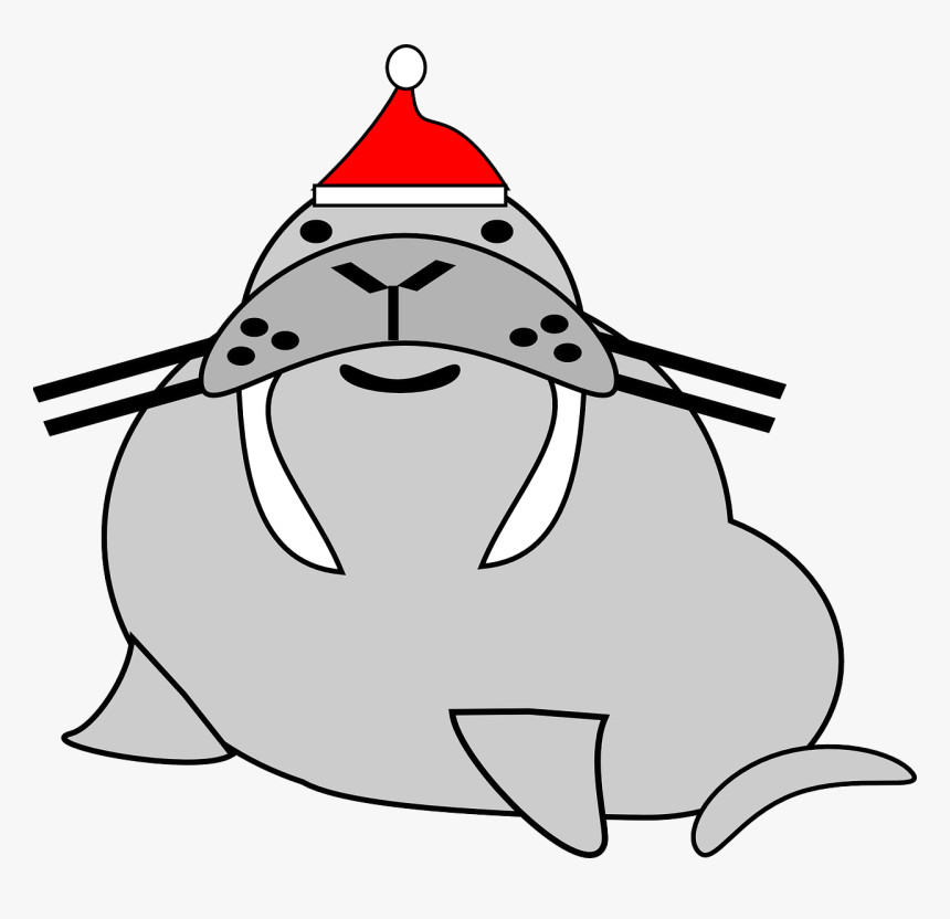 Seal Wearing Santa Svg Clip Arts - Seals In Santa Hat, HD Png Download