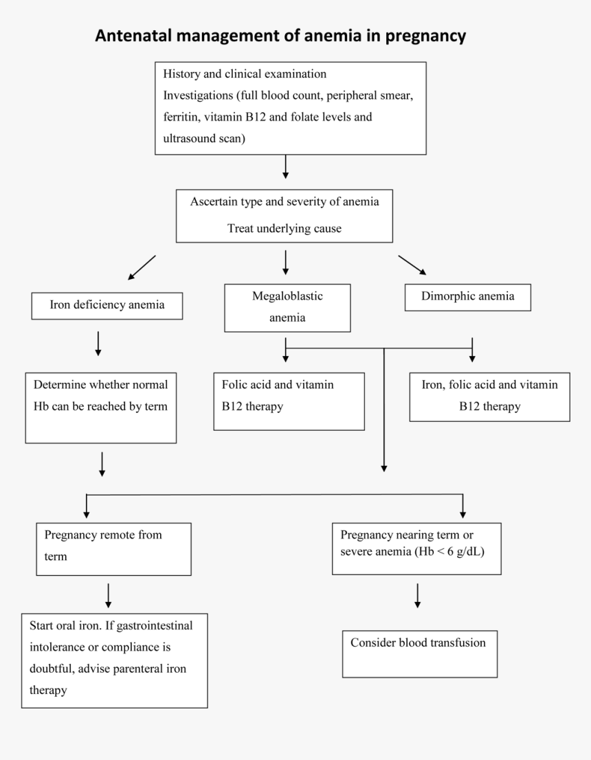 Management Of Severe Anemia In Pregnancy, HD Png Download
