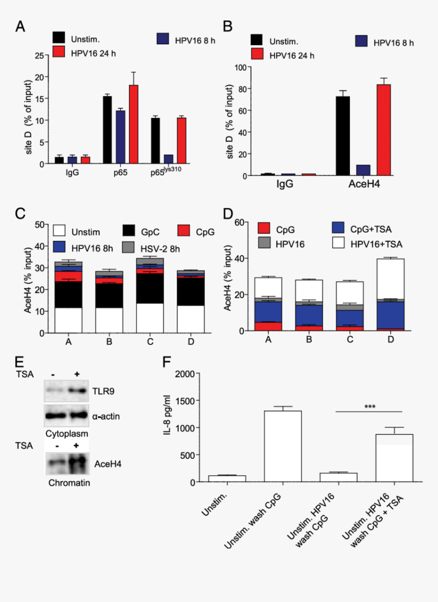 Diagram, HD Png Download