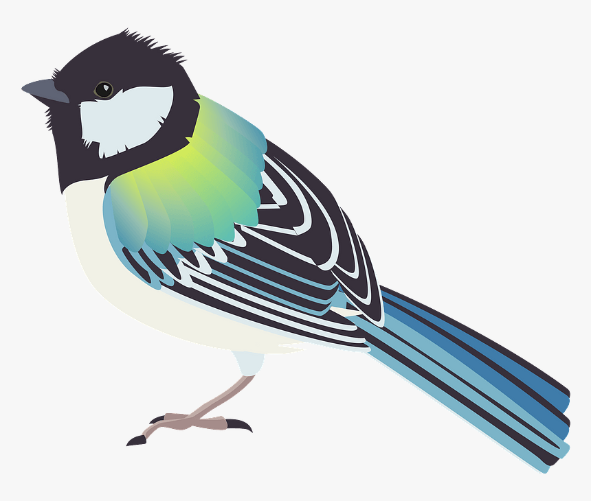Japanese Tit Bird Clipart, HD Png Download