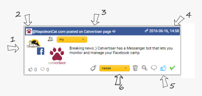 Facebook, Instagram And Twitter Content In One Social, HD Png Download
