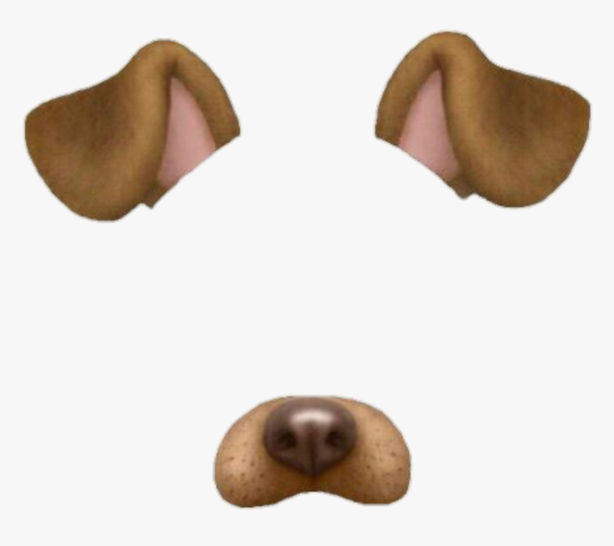 #dogfilter #dog #png #snap #snapchat #doggy #dognose, Transparent Png
