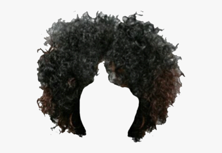 Hair Brownhair Afro Wig Snatched Wigs Weave Hd Png Download Transparent Png Image Pngitem