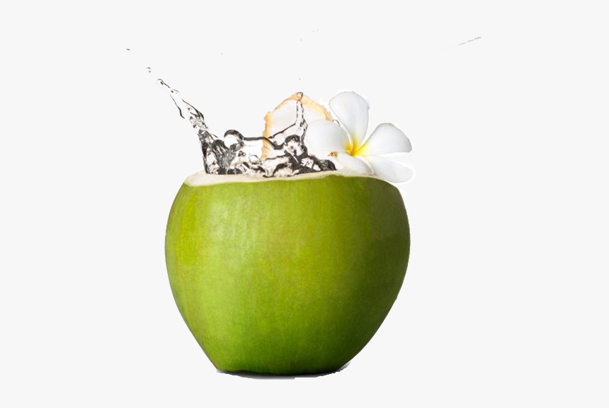 Coconut Water Png Hd Quality, Transparent Png