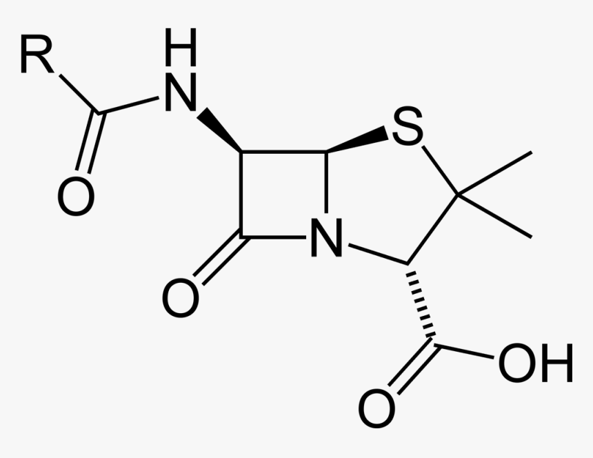 Penicillin Nucleus 2d Balls, HD Png Download