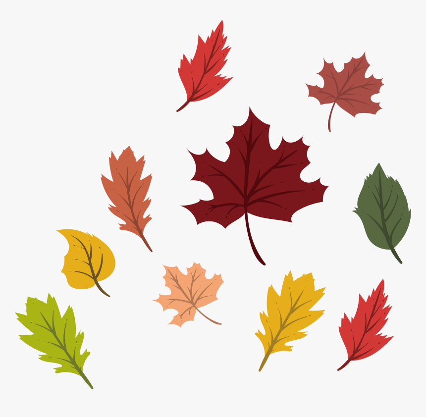 Png Black And White Autumn Vector Colorful Leave - Leaf Autumn Vector Png, Transparent Png
