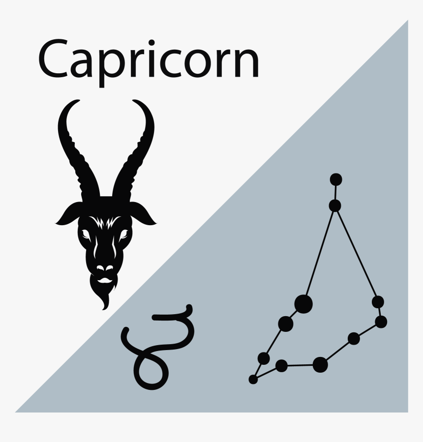 Horn, HD Png Download