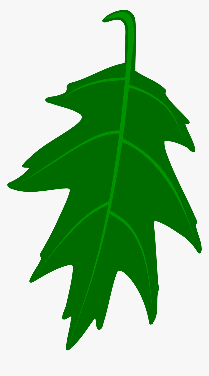 Oak Leaf Vector By Mortris On Clipart Library - Clip Art, HD Png Download