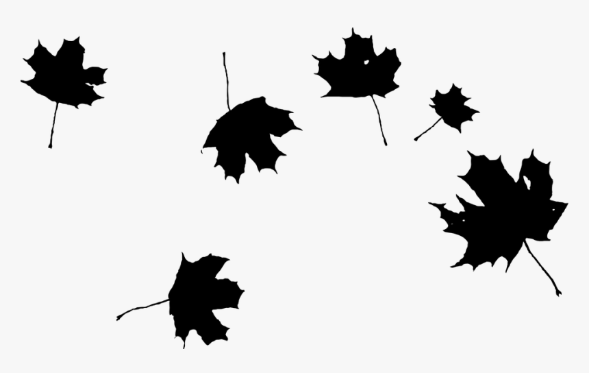 Grape Leaf Clip Art, HD Png Download