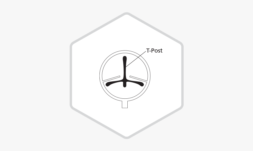 T Post Hexagon - Circle, HD Png Download