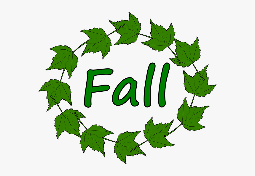Fall Green Leaves Vector Image - Autumn Season, HD Png Download