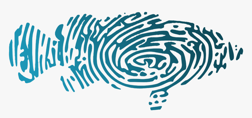 Hk Sustainable Seafood Coalition - Uk Sustainable Seafood Coalition, HD Png Download