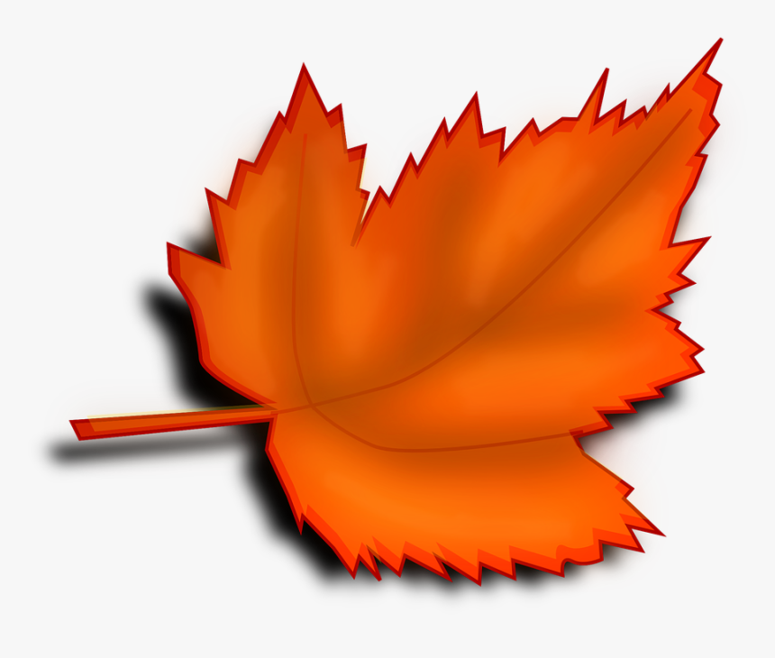 Maple, Autumn, Fall, Leaf, Orange, Shades - Maple Leaf, HD Png Download