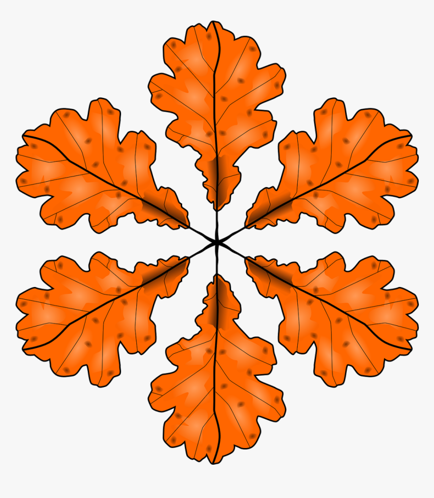 Plant,leaf,maple Leaf - 3 Oaks Clip Art, HD Png Download