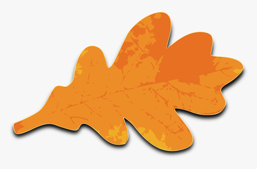 Oak, Foliage, Fall, Leaf, Orange, Brown - Fall Oak Leaf Clipart, HD Png Download
