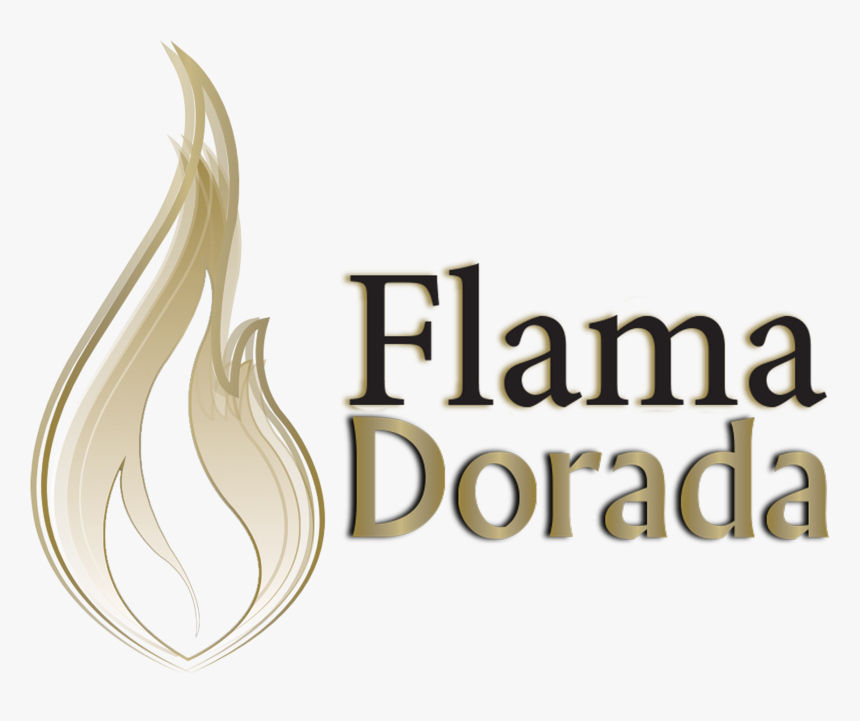 Aplicacion 3 Flama Dorada - Rizoma, HD Png Download