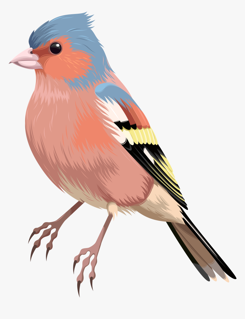 Clipart Cloud Bird, HD Png Download