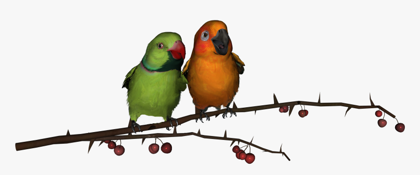 Love Birds Clipart Photos 4 - Love Birds Images Png, Transparent Png