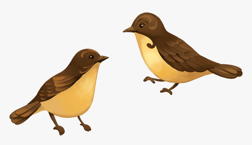 Finch, HD Png Download