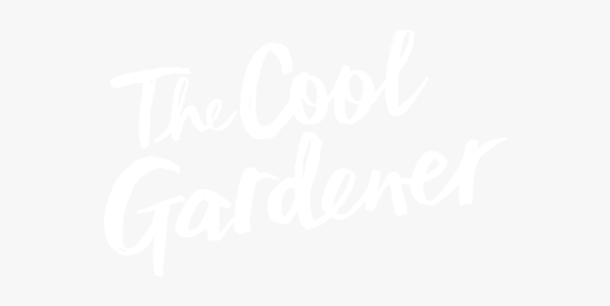 Type Logo Vector-01 - Johns Hopkins White Logo, HD Png Download