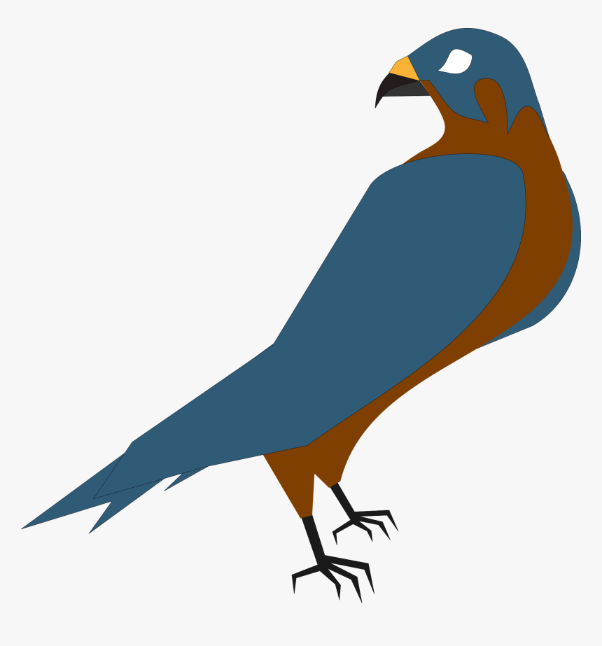 Hawk Clip Art, HD Png Download