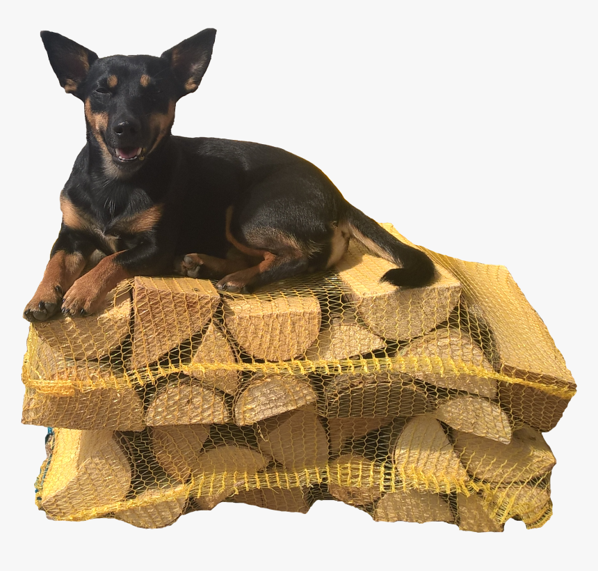 Pražský Krysařík, HD Png Download