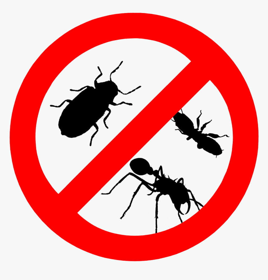 Pests Control, HD Png Download , Transparent Png Image PNGitem