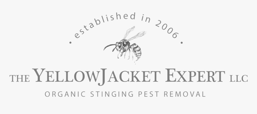 Tee Shirt Design 4 - Driskill Hotel, HD Png Download