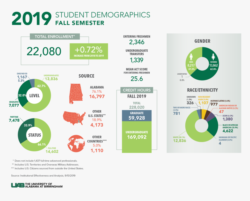 Student Demographics - Student Demographics Dashboard, HD Png Download