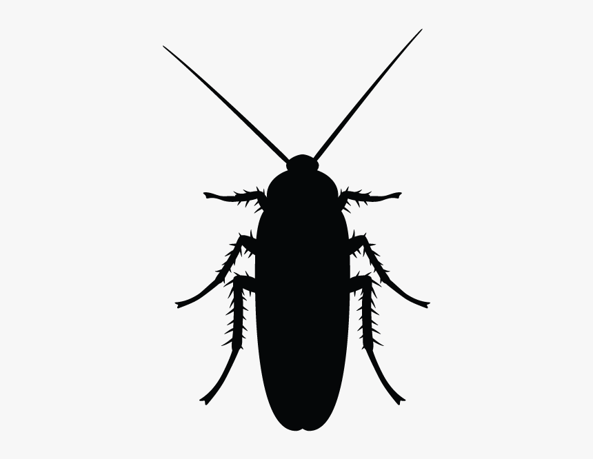 Minneapolis Pest Library - Cockroach Black And White, HD Png Download