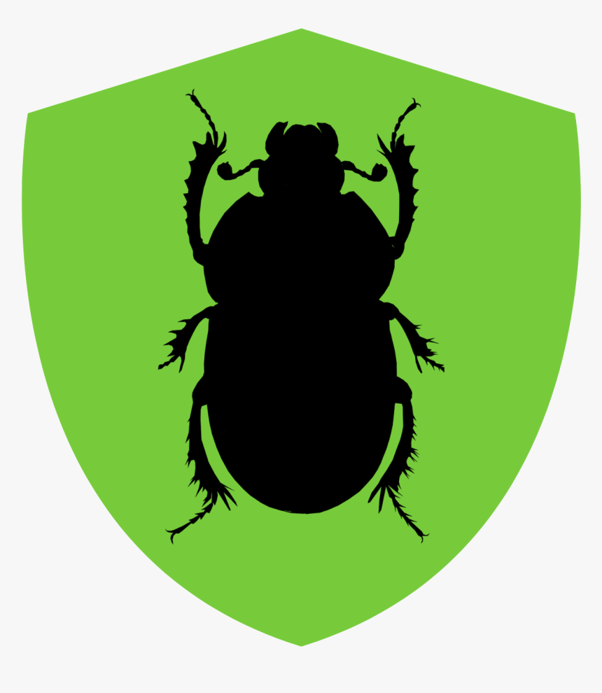 Beetle Clipart, HD Png Download