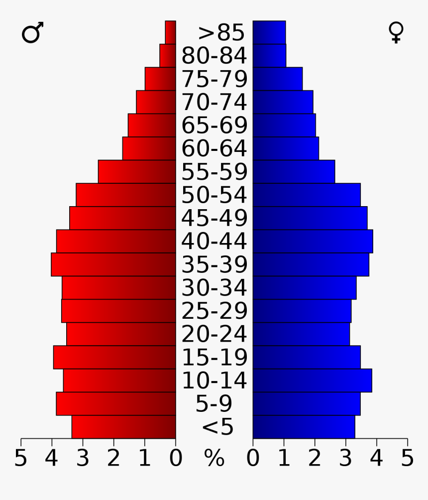 Boston Massachusetts Population Pyramid, HD Png Download