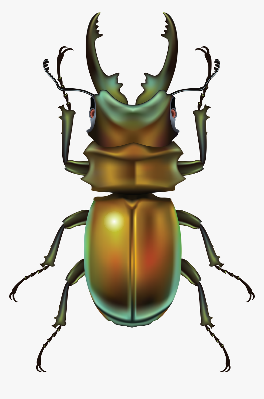 Bug Clipart Clipartfest - Жук Пнг, HD Png Download