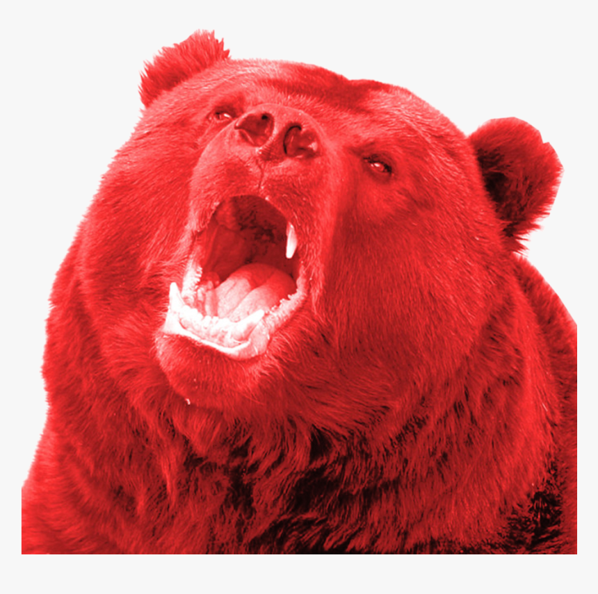Russian Bears , Png Download - Bear Yawning, Transparent Png