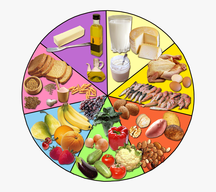 Comunidad Central - Nutricion Del Ser Humano, HD Png Download