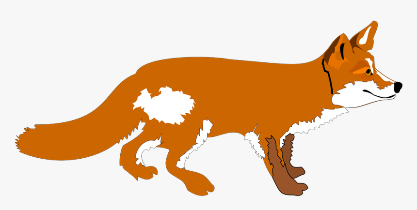 Transparent Fox Clip Art - Zorro Y El Quirquincho, HD Png Download