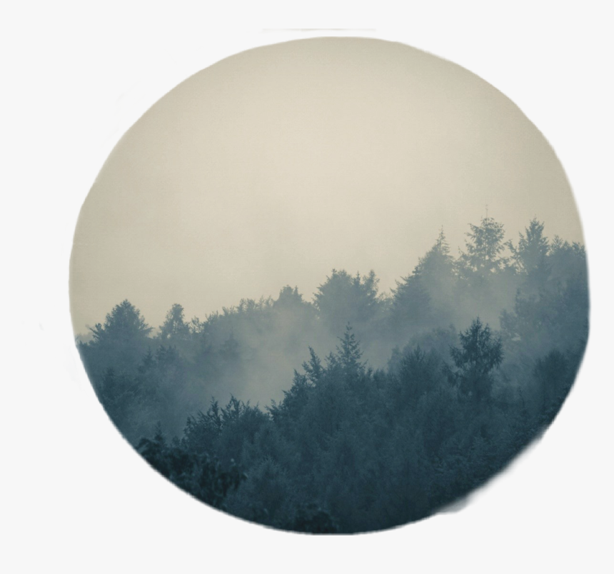 #circulo #circle #paisajes #paisaje #pinos #bosque - Daejeon, HD Png Download