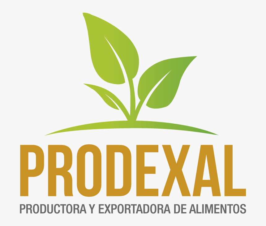 Prodexal - Exportadora De Alimentos Logo, HD Png Download