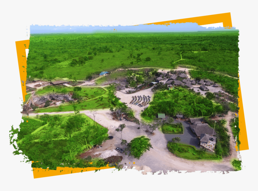 Transparent Paisaje Png - Botanical Garden, Png Download