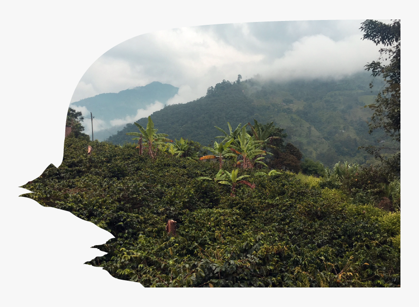 Naturaleza Paisaje - Tree, HD Png Download