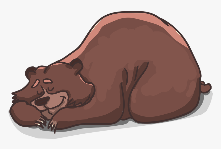 Brown Bear Sleeping Clipart, HD Png Download