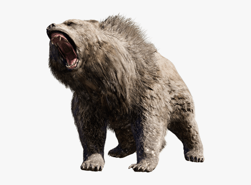 Grizzly-bear - Angry Bear Png, Transparent Png