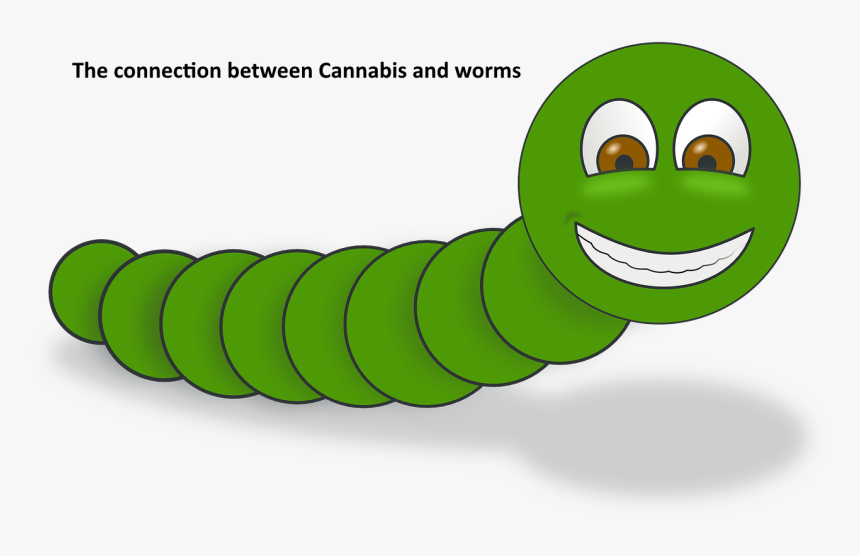 Larva - Worm Clip Art, HD Png Download