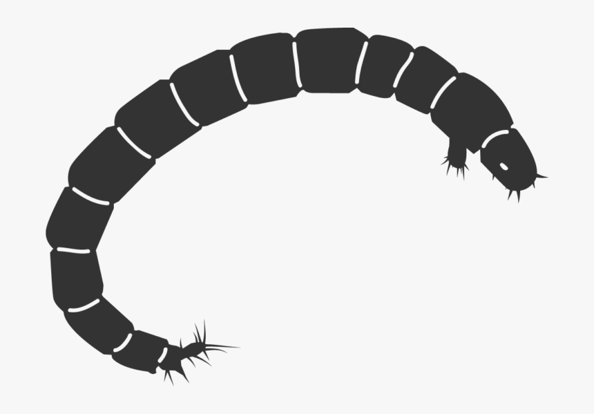 Mosquito Larvae Clipart Transparent, HD Png Download